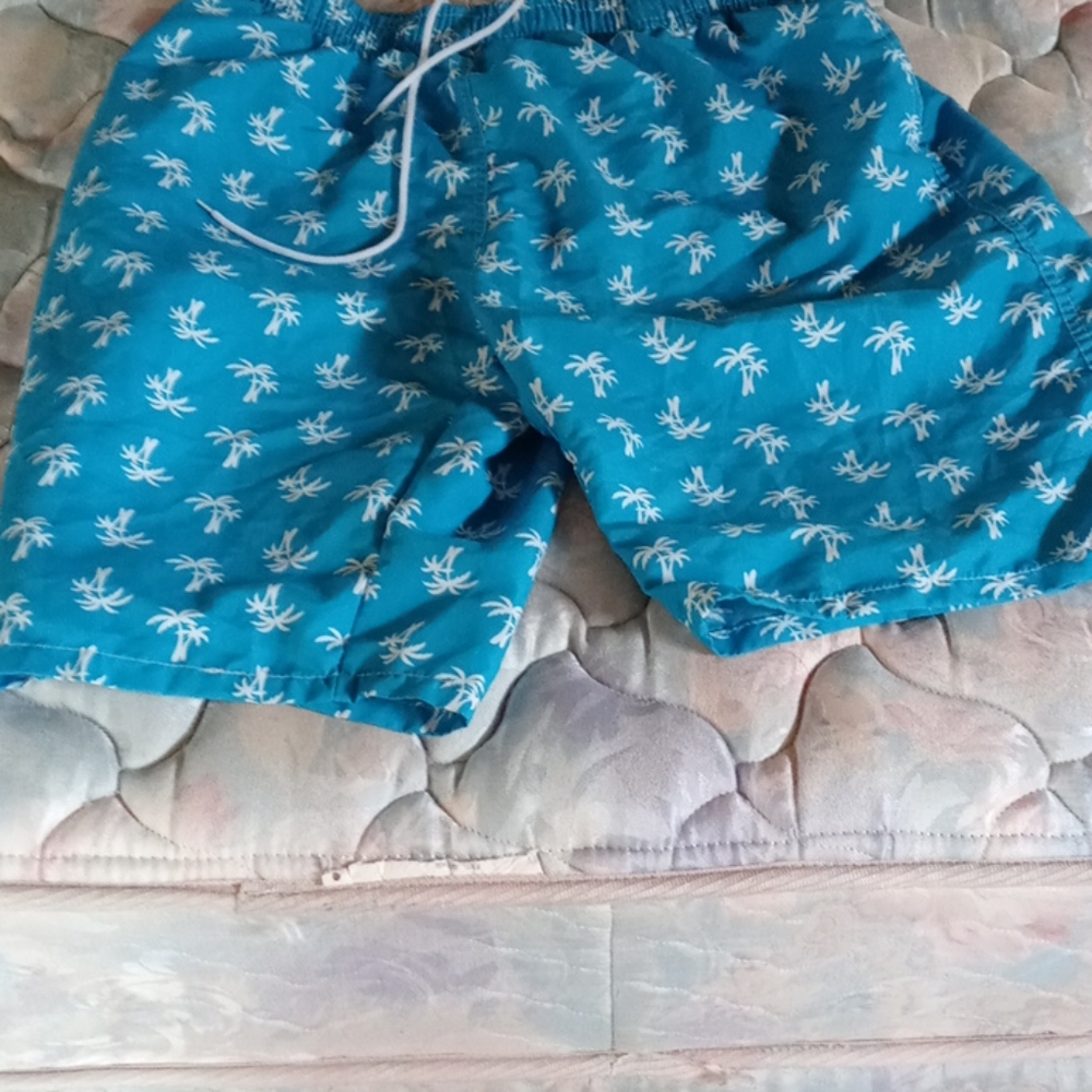 Swim trunks